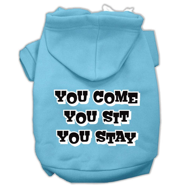 You Come, You Sit, You Stay Screen Print Pet Hoodies Baby Blue Size XS (8)