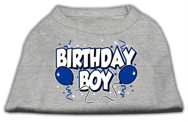 Birthday Boy Screen Print Shirts Grey XXL (18)