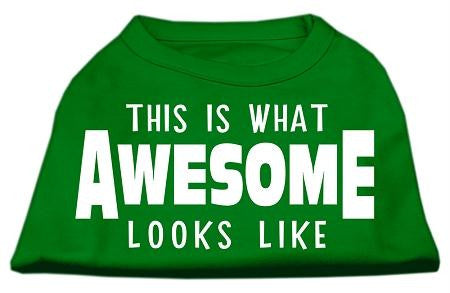 This is What Awesome Looks Like Dog Shirt Emerald Green Lg (14)