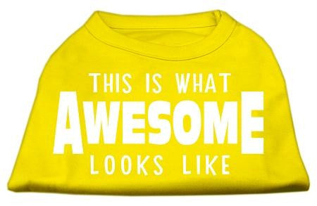 This is What Awesome Looks Like Dog Shirt Yellow Lg (14)