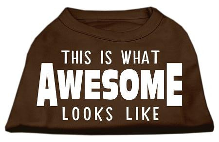 This is What Awesome Looks Like Dog Shirt Brown Med (12)