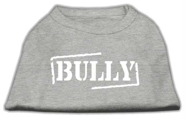 Bully Screen Printed Shirt  Grey Sm (10)