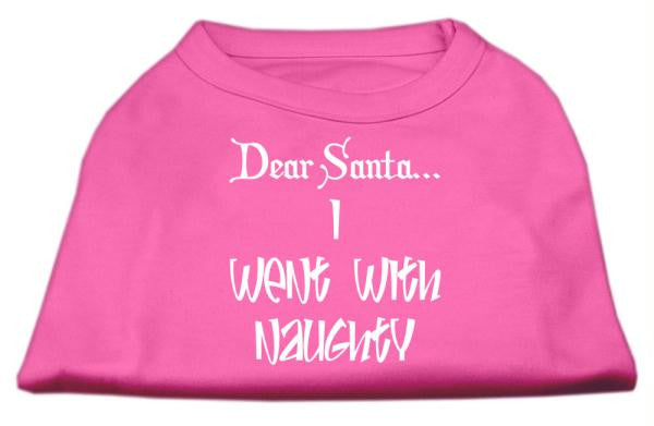 Dear Santa I Went with Naughty Screen Print Shirts Bright Pink Lg (14)