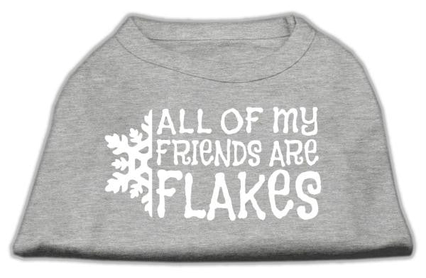 All my friends are Flakes Screen Print Shirt Grey S (10)