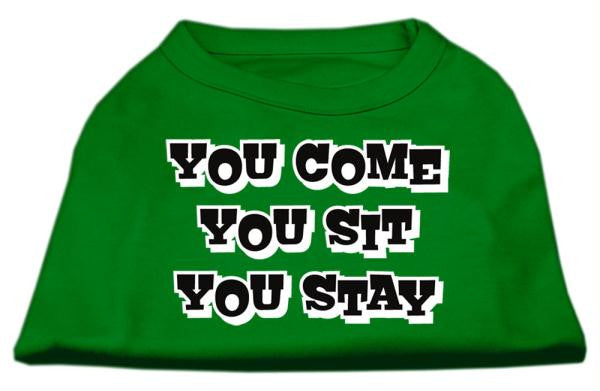 You Come, You Sit, You Stay Screen Print Shirts Emerald Green Lg (14)