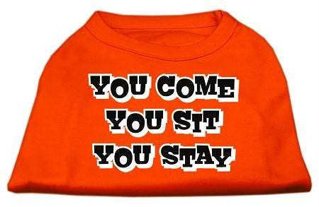 You Come, You Sit, You Stay Screen Print Shirts Orange Lg (14)