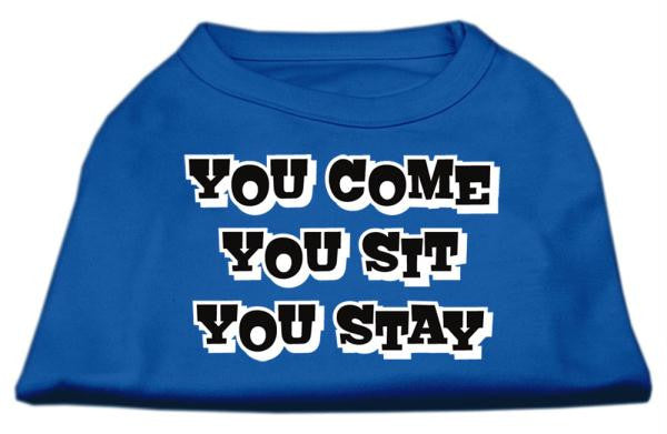 You Come, You Sit, You Stay Screen Print Shirts Blue Med (12)