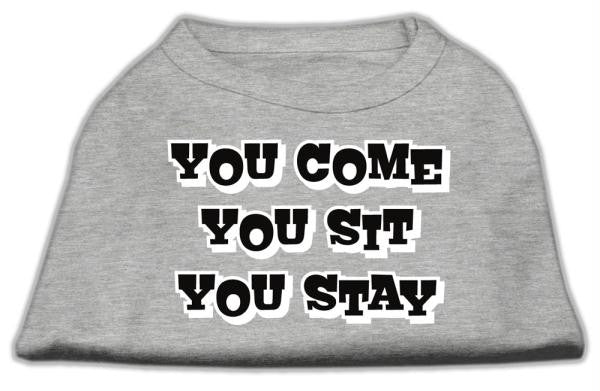 You Come, You Sit, You Stay Screen Print Shirts Grey M (12)