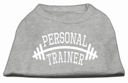 Personal Trainer Screen Print Shirt Grey Lg (14)