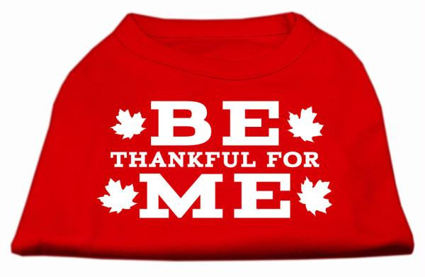 Be Thankful for Me Screen Print Shirt Red XXXL(20)