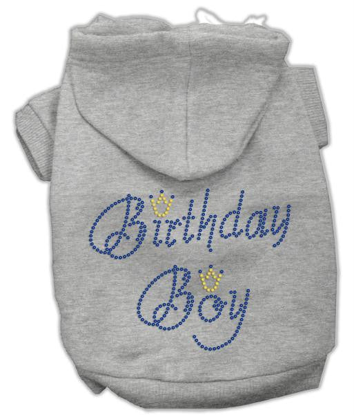 Birthday Boy Hoodies Grey XS (8)