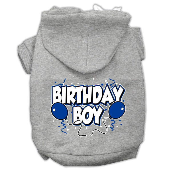 Birthday Boy Screen Print Pet Hoodies Grey Size XS (8)