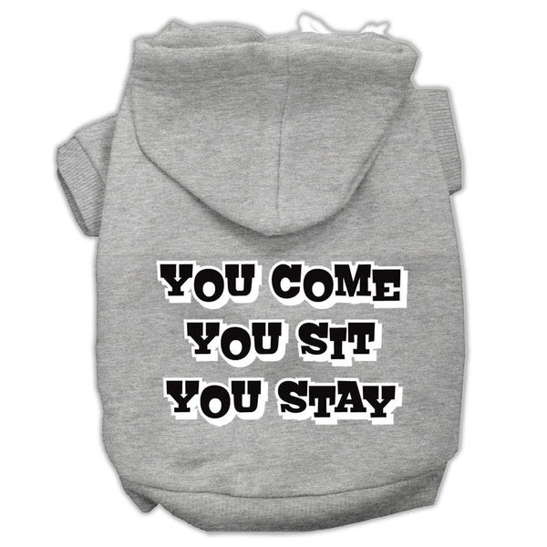 You Come, You Sit, You Stay Screen Print Pet Hoodies Grey Size M (12)