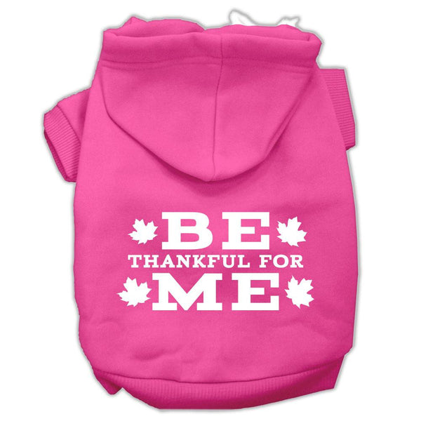 Be Thankful for Me Screen Print Pet Hoodies Bright Pink Size XXL (18)