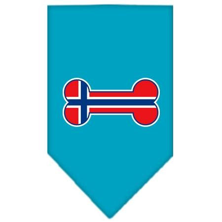 Bone Flag Norway  Screen Print Bandana Turquoise Small