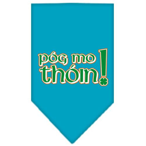 Pog Mo Thoin Screen Print Bandana Turquoise Small