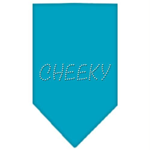 Cheeky Rhinestone Bandana Turquoise Small